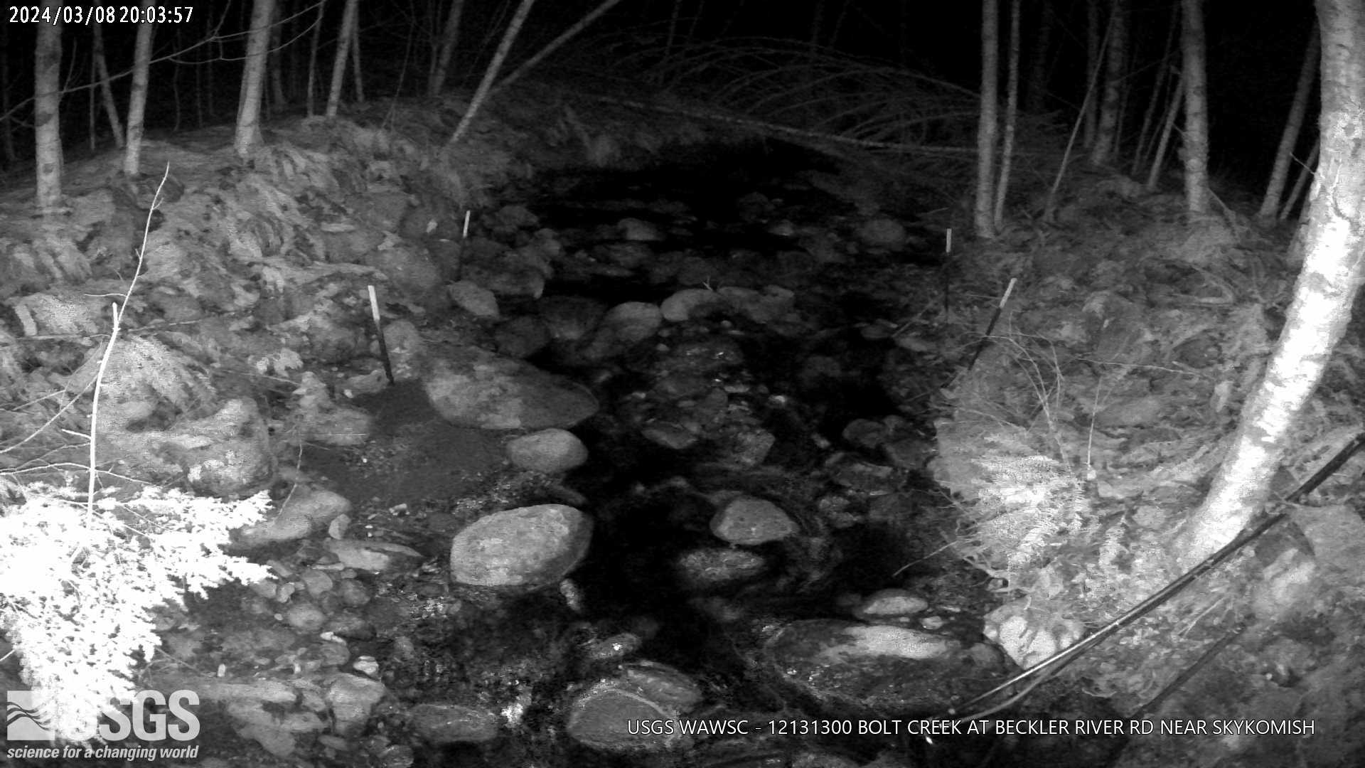 Most recent webcam image of Bolt Creek, WA