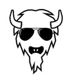 Rio Buffalo Outfitter logo