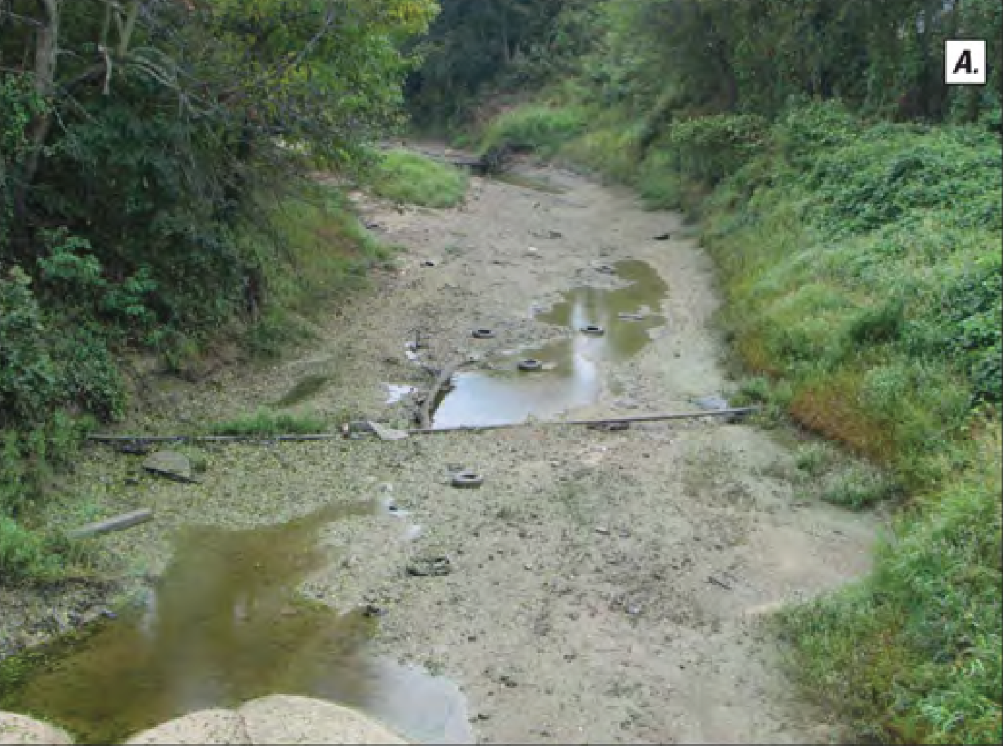 Mississippi Streams Dry stream bed
