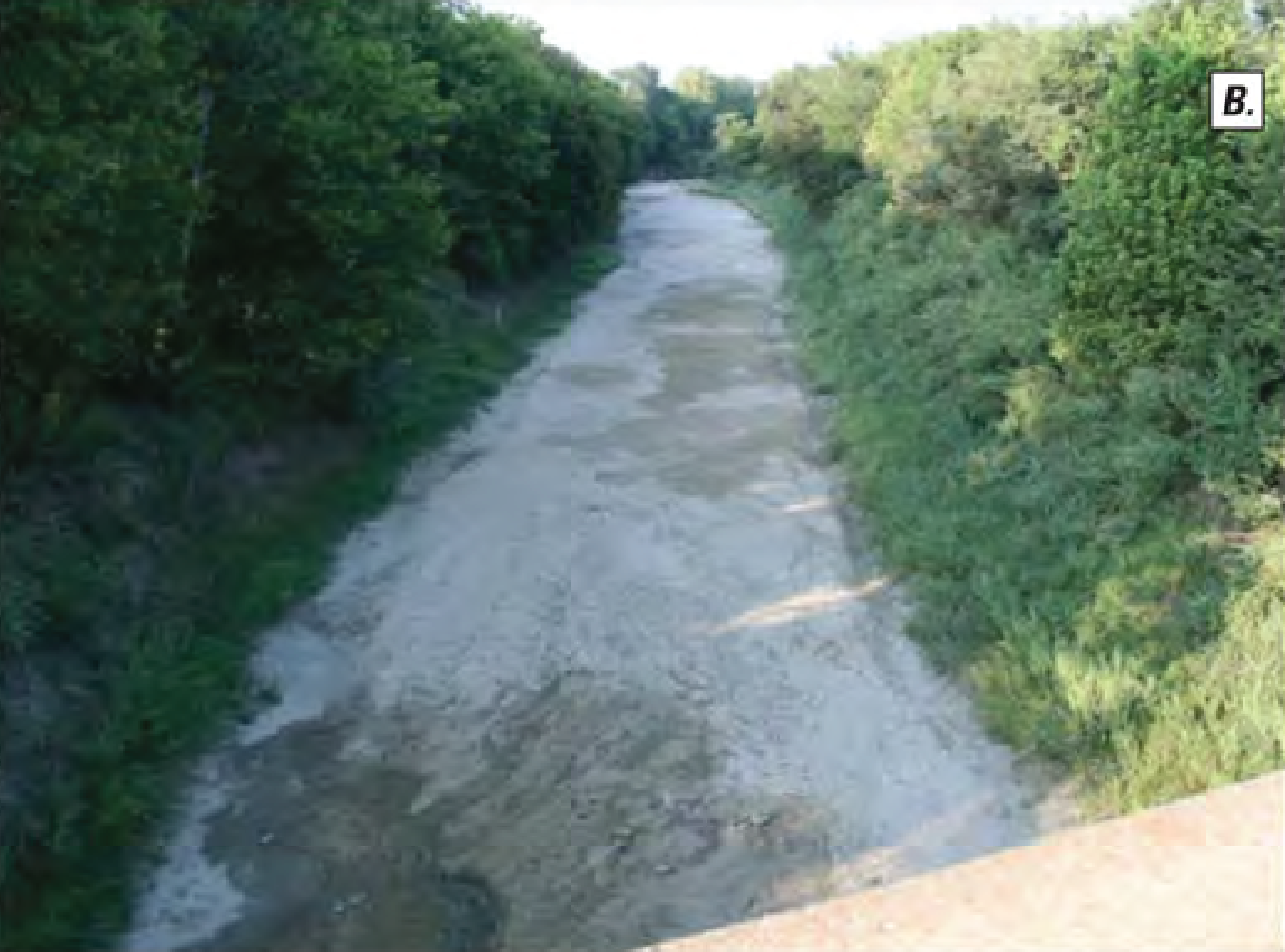 Bogue Phalia River near Leland, Mississippi.