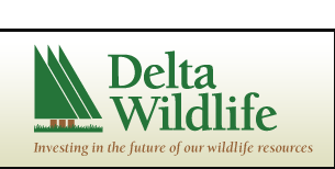 Delta Wildlife