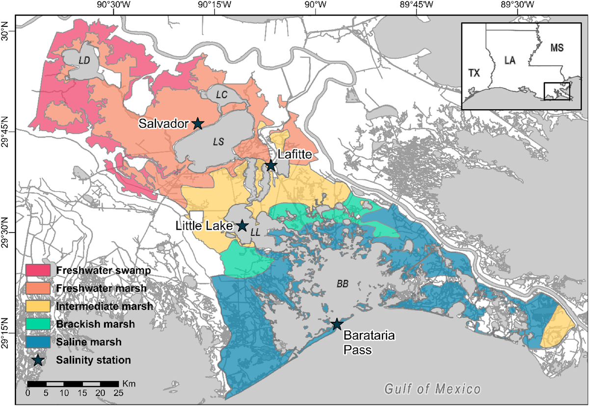 Map of the Barataria Estuary in the Mississippi River Deltaic Plain in southeastern Louisiana (USA)